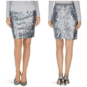 Women's Plus 14 WHBM Silver Sequins Mini Skirt Holiday Wear Fun Party Wear